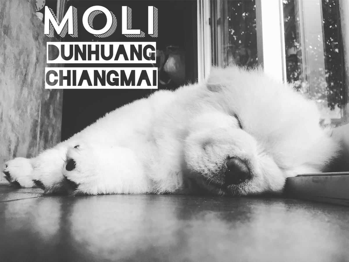 Chiangmai Moli Inn (Adults Only) Чиангмай Экстерьер фото