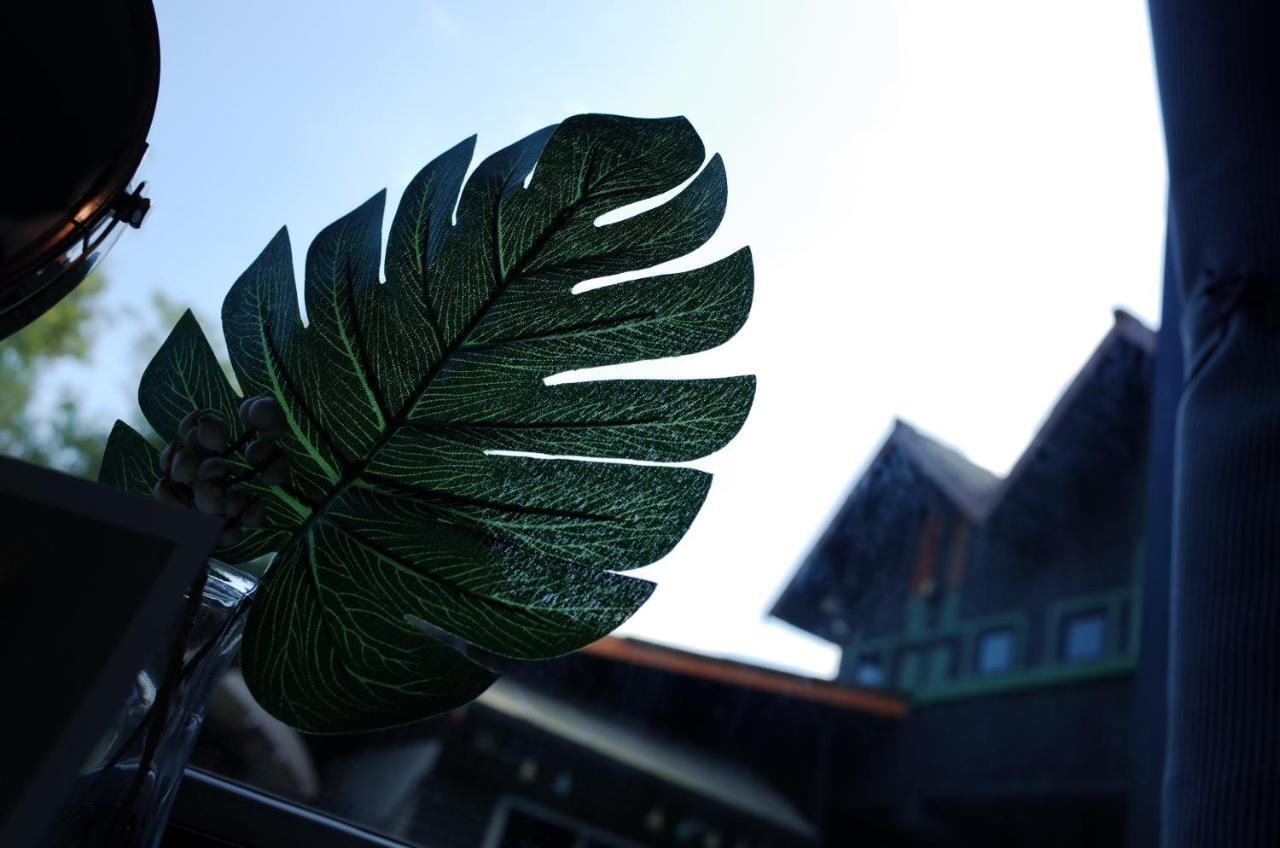 Chiangmai Moli Inn (Adults Only) Чиангмай Экстерьер фото